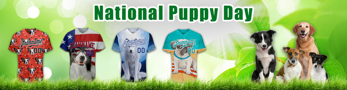 Are you ready for a puppy?