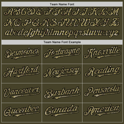 Custom Olive Camo Black-Cream Line Authentic Salute To Service Baseball Jersey