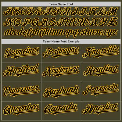 Custom Olive Black-Gold Line Authentic Salute To Service Baseball Jersey