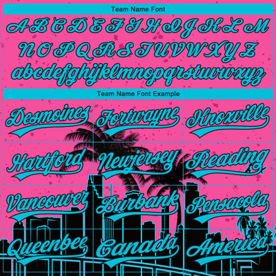 Custom Stitched Pink Sky Blue-Black 3D Miami Palm Trees City Edition Sports Pullover Sweatshirt Hoodie