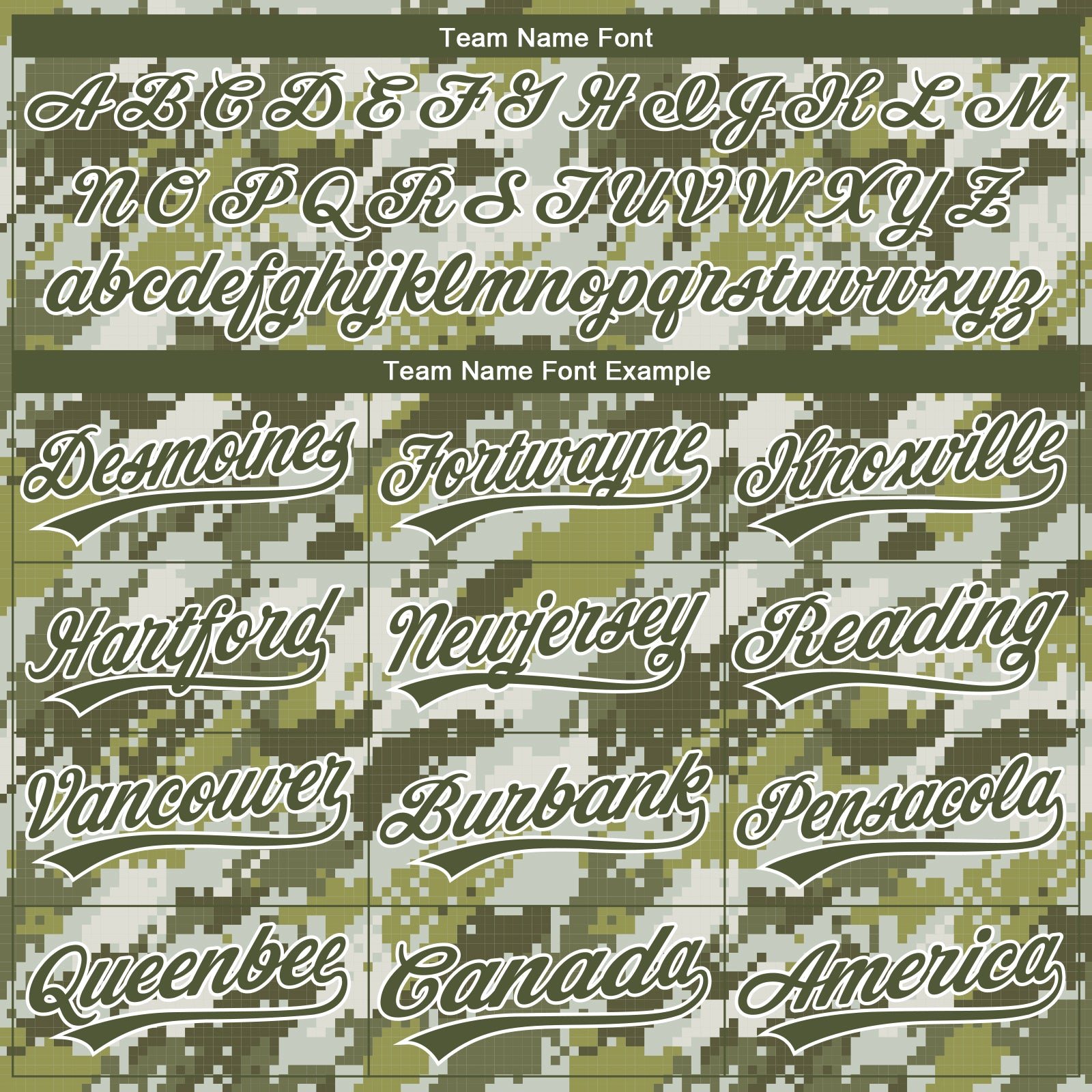 Custom Stitched Camo Olive-White 3D Sports Pullover Sweatshirt Salute To Service Hoodie