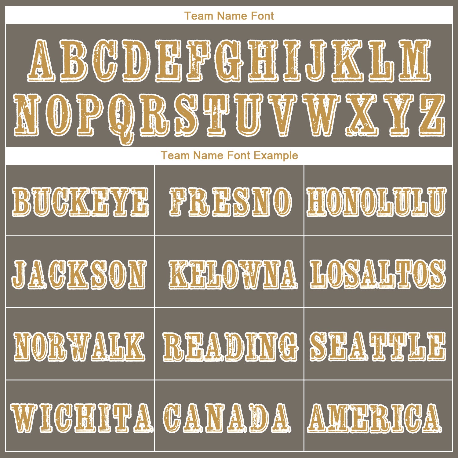 Custom Gray Old Gold-White 3D Skull Chief Sports Pullover Sweatshirt Hoodie