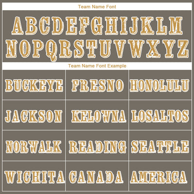 Custom Gray Old Gold-White 3D Skull Chief Sports Pullover Sweatshirt Hoodie