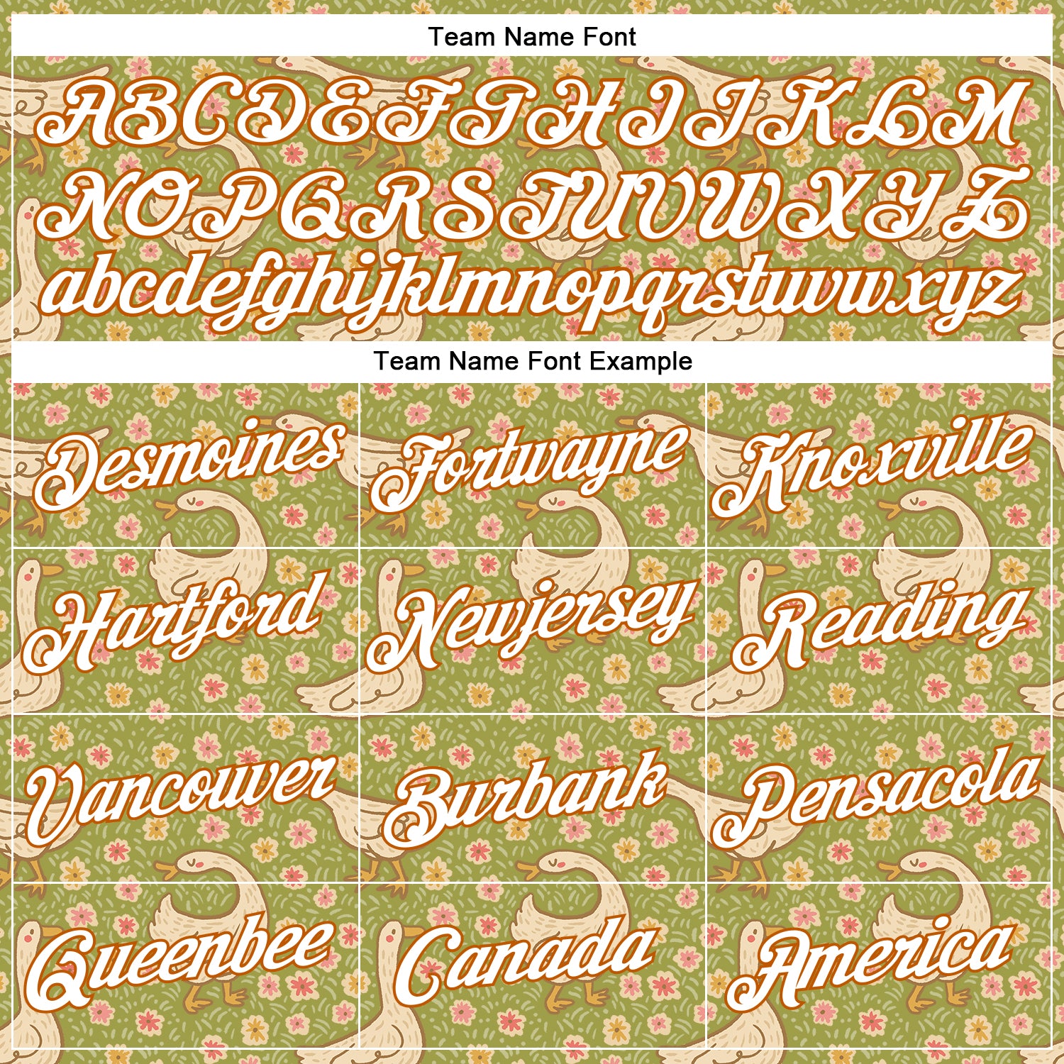 Custom Stitched Green White-Texas Orange 3D Emi Bee Meadow Goose Sports Pullover Sweatshirt Hoodie