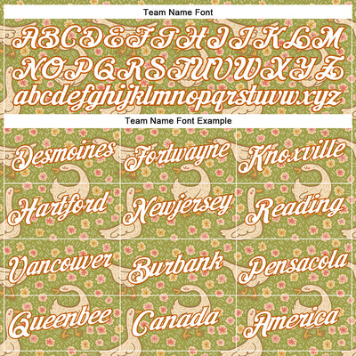 Custom Stitched Green White-Texas Orange 3D Emi Bee Meadow Goose Sports Pullover Sweatshirt Hoodie