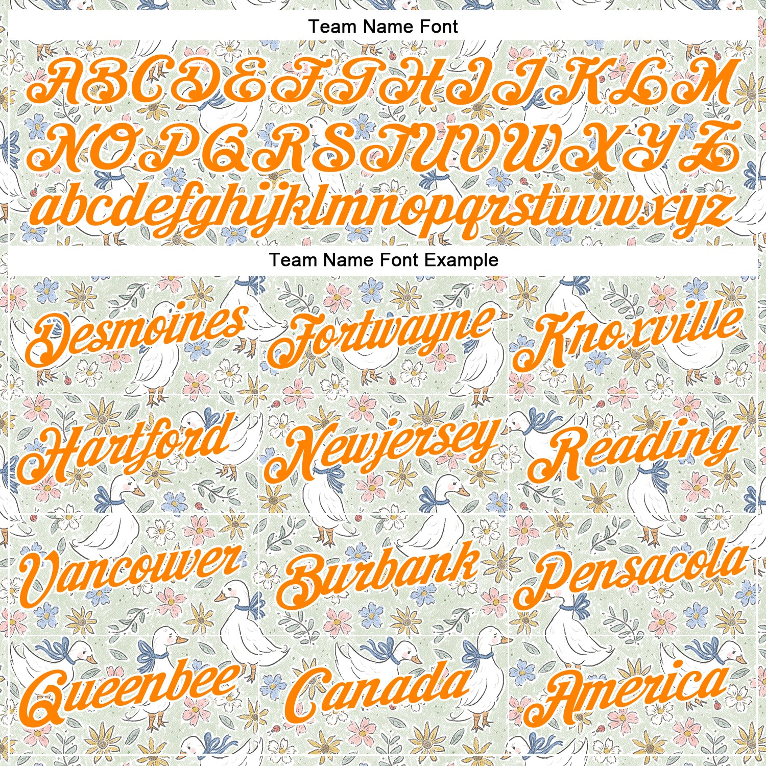 Custom Stitched Green Bay Orange-White 3D Emi Bee Wildflower Geese Sports Pullover Sweatshirt Hoodie