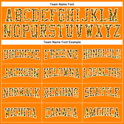 Custom Stitched Bay Orange Black-White Fade Fashion Leopard Print Sports Pullover Sweatshirt Hoodie