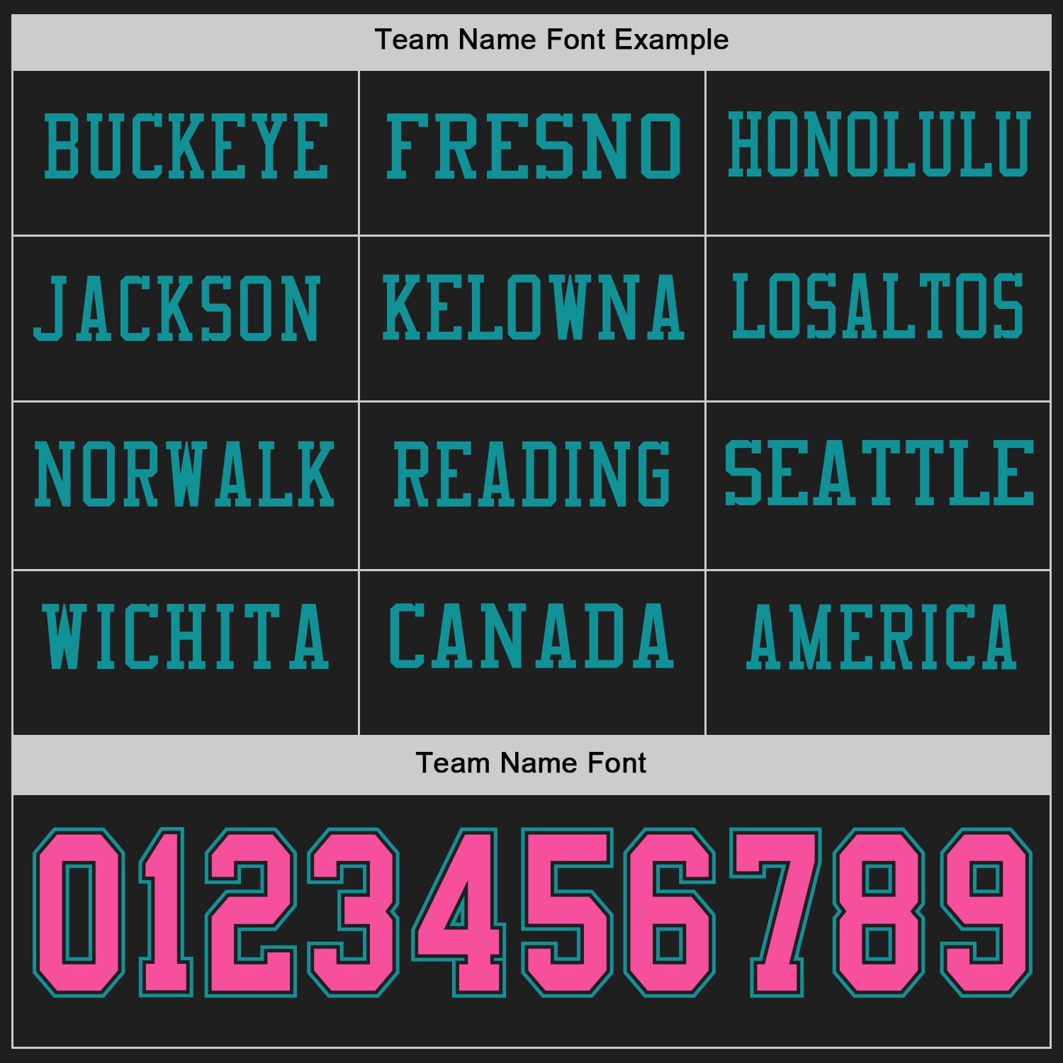 Custom Black Pink-Teal Long Sleeve Authentic Football Jersey