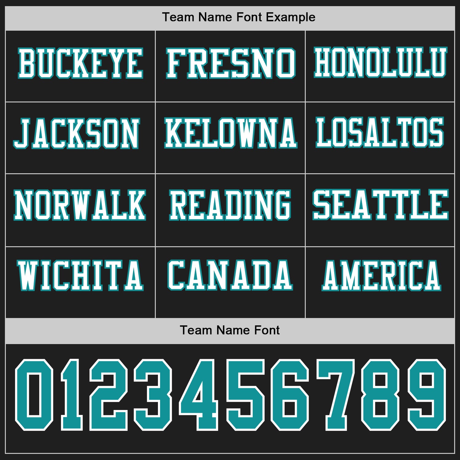 Custom Black Teal-White Long Sleeve Authentic Football Jersey