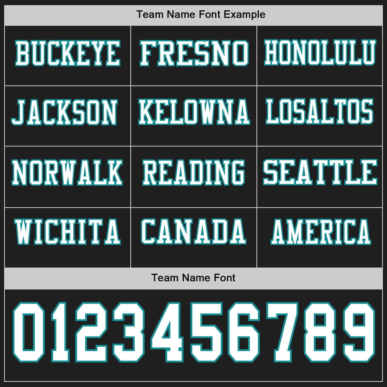 Custom Black White-Teal Long Sleeve Authentic Football Jersey