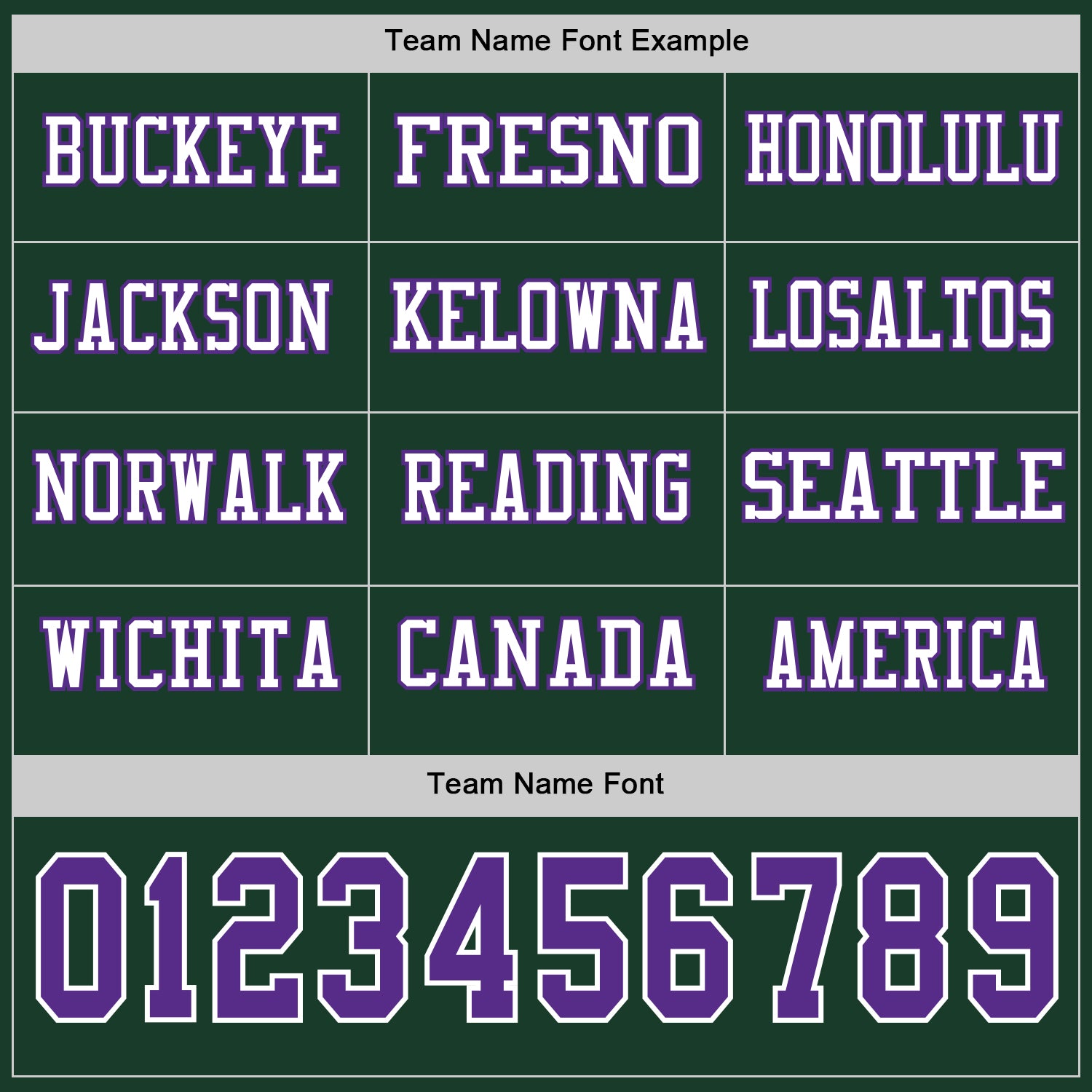 Custom Green Purple-White Long Sleeve Authentic Football Jersey