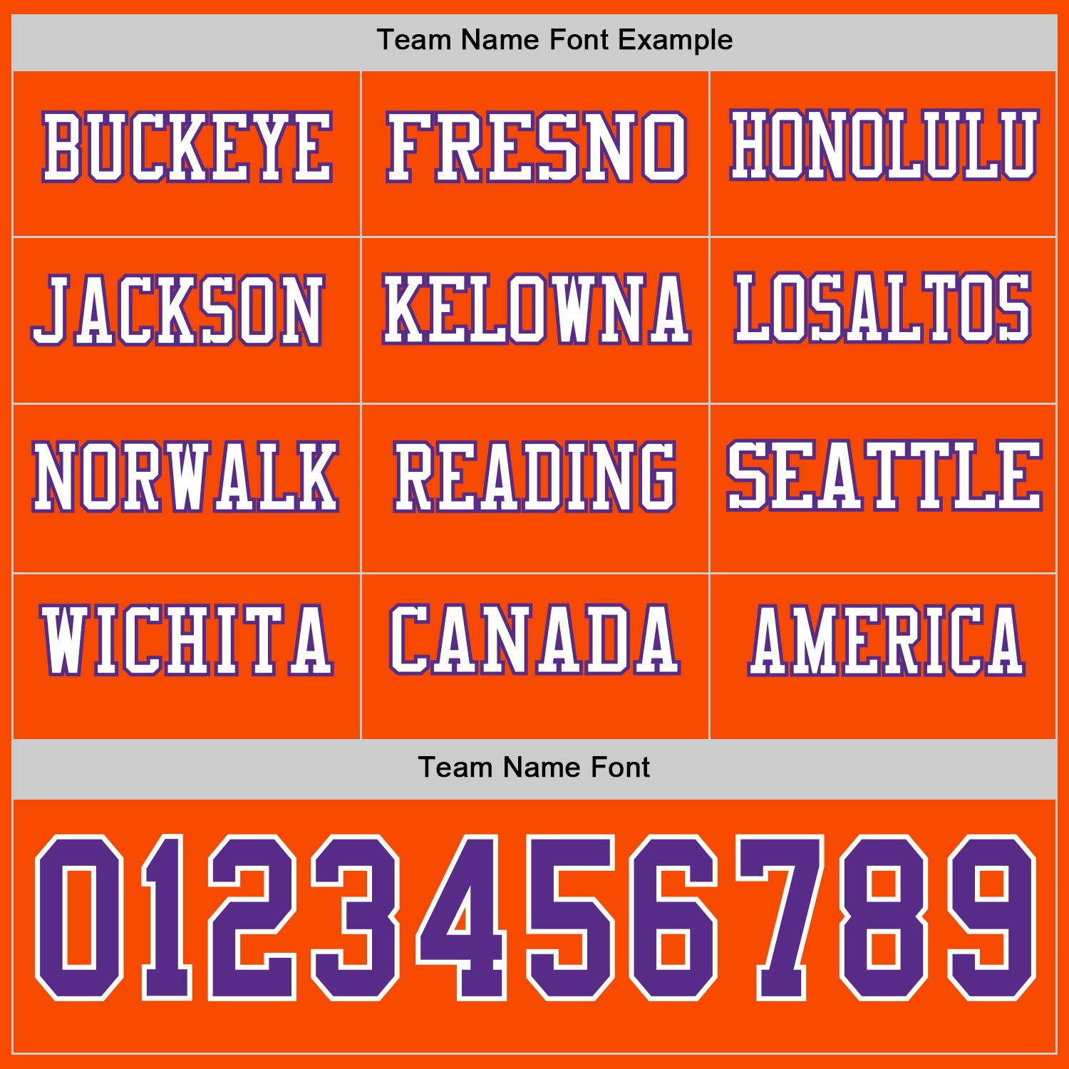 Custom Orange Purple-White Long Sleeve Authentic Football Jersey