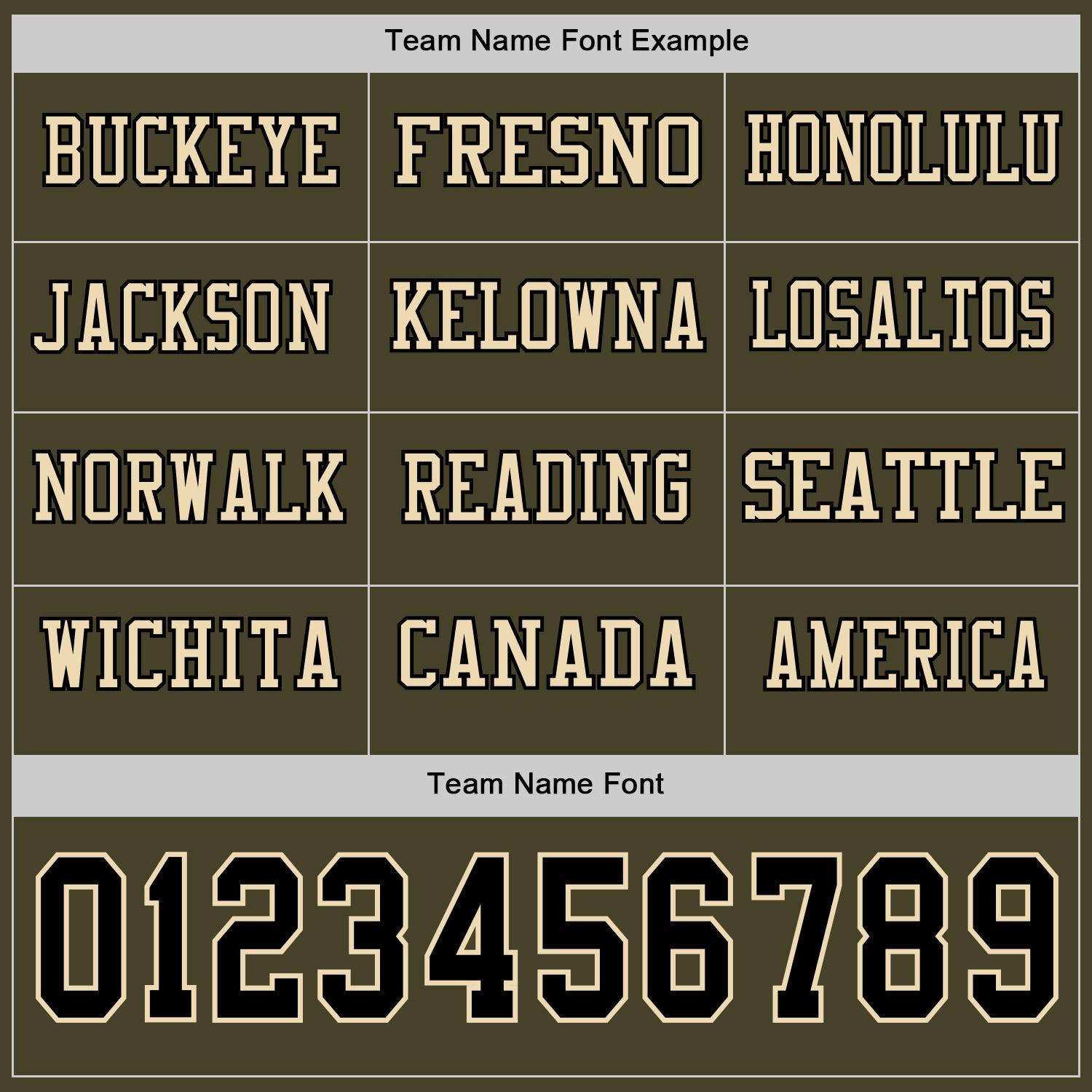 Custom Olive Black-Cream Long Sleeve Salute To Service Authentic Football Jersey