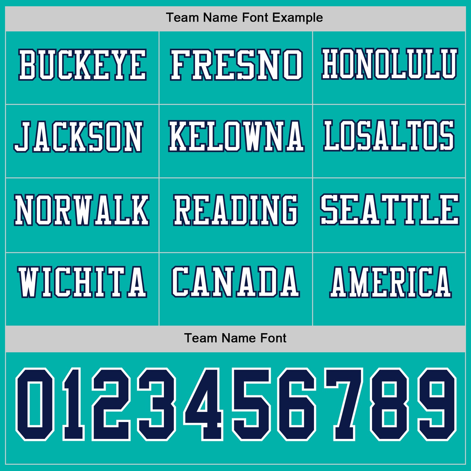 Custom Aqua Navy-White Long Sleeve Authentic Football Jersey