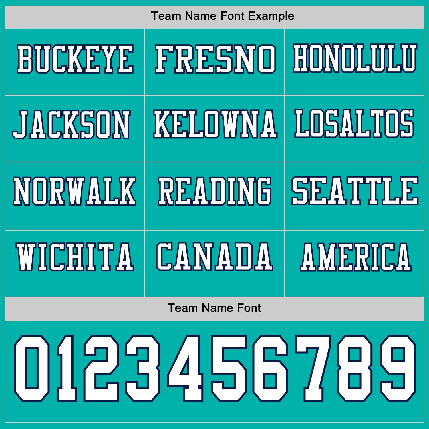 Custom Aqua White-Navy Long Sleeve Authentic Football Jersey