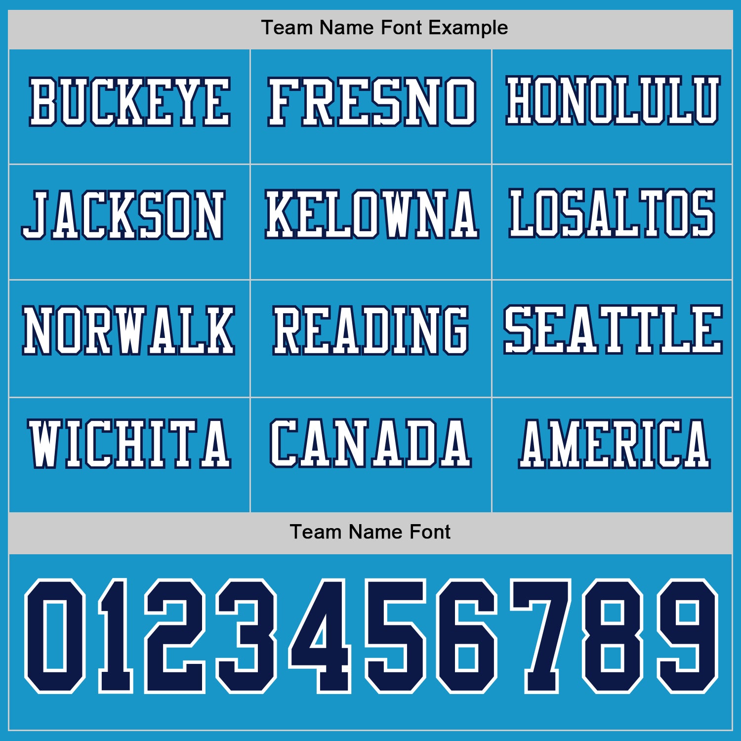 Custom Panther Blue Navy-White Long Sleeve Authentic Football Jersey