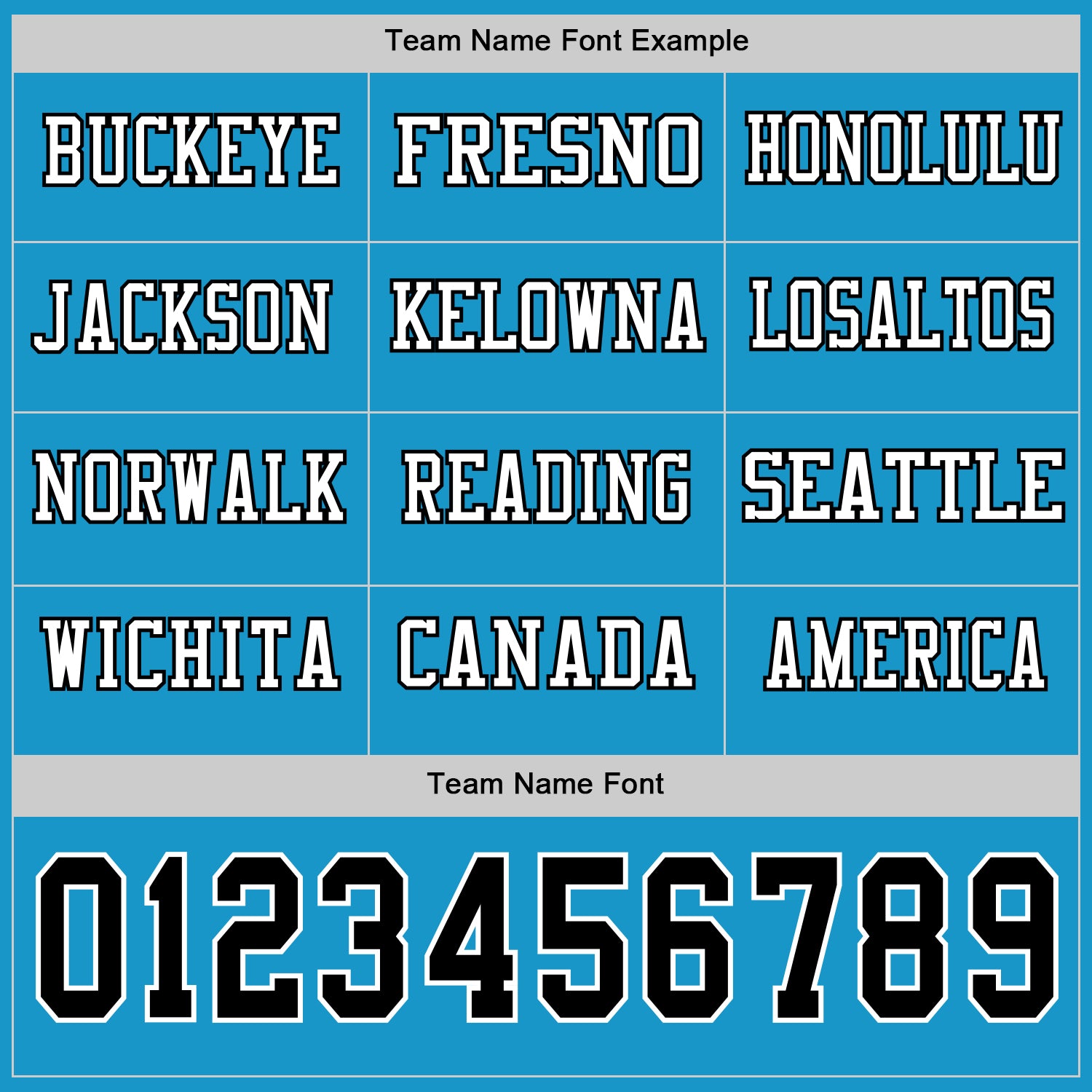 Custom Panther Blue Black-White Long Sleeve Authentic Football Jersey