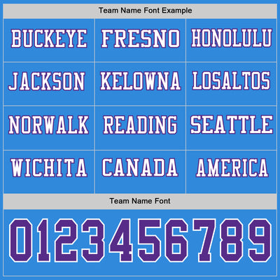 Custom Powder Blue Purple-White Long Sleeve Authentic Football Jersey
