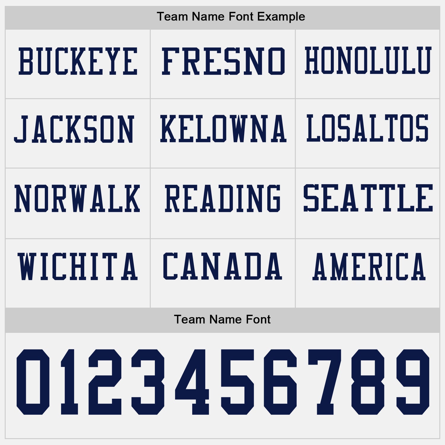 Custom White Navy Long Sleeve Authentic Football Jersey