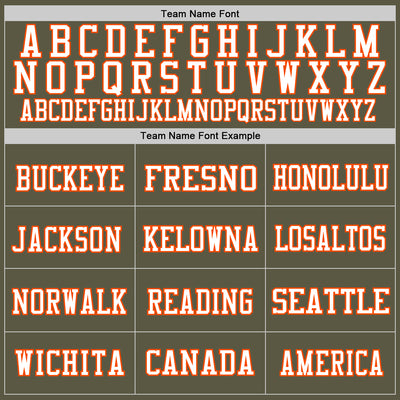 Custom Olive Orange-White Mesh Authentic Throwback Salute To Service Football Jersey