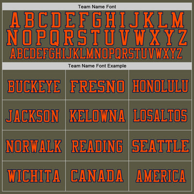 Custom Olive Orange-Navy Mesh Authentic Throwback Salute To Service Football Jersey