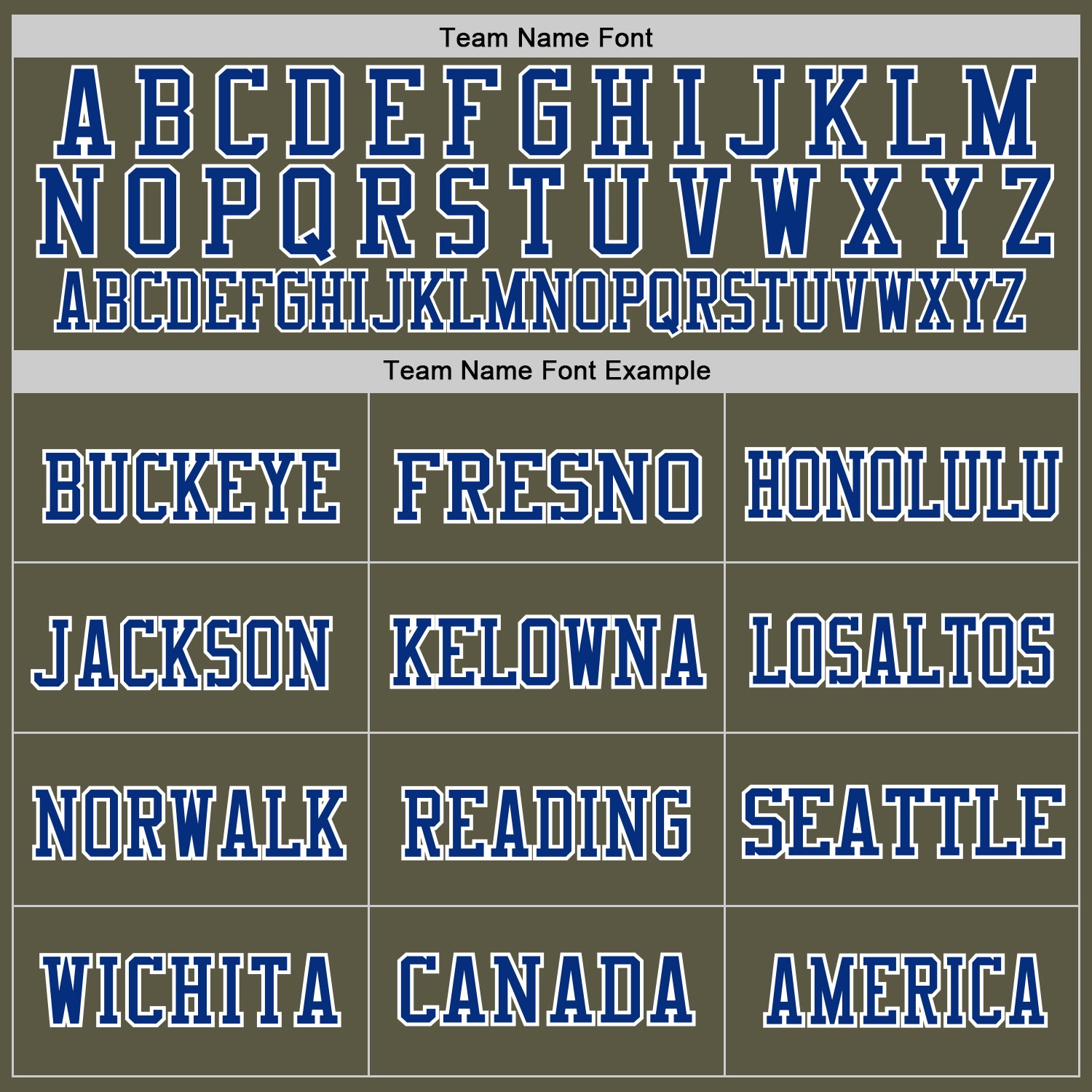 Custom Olive Royal-White Mesh Authentic Salute To Service Football Jersey