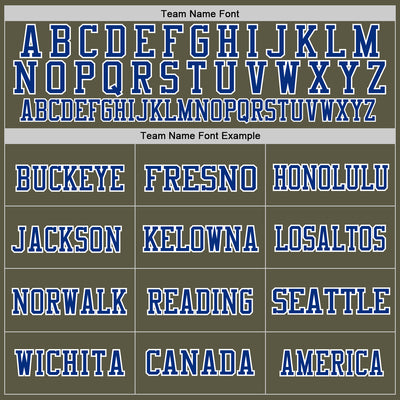 Custom Olive Royal-White Mesh Authentic Salute To Service Football Jersey