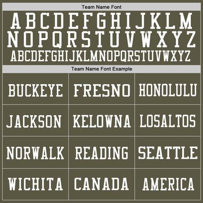 Custom Olive White Mesh Authentic Salute To Service Football Jersey