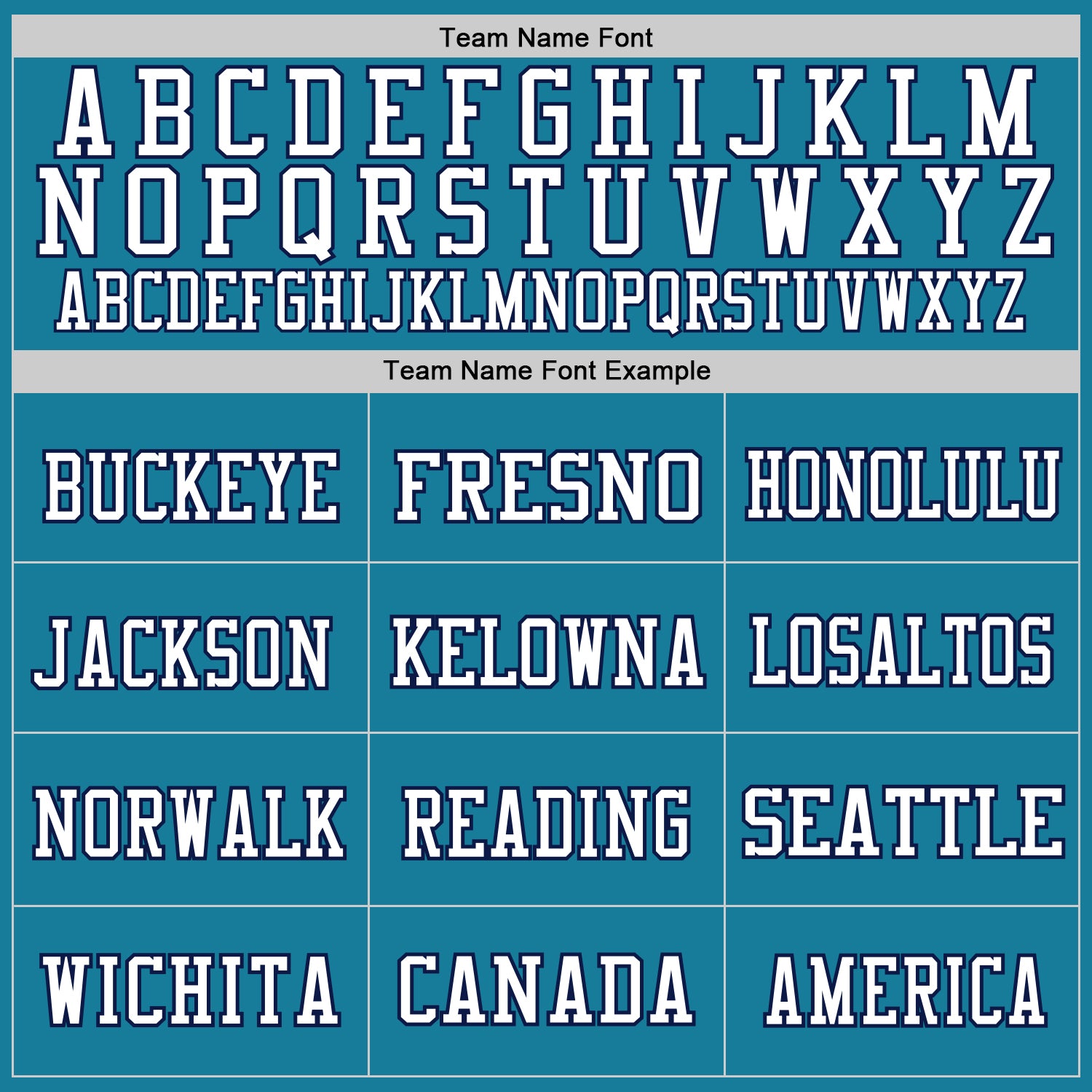 Custom Panther Blue Navy-White Mesh Authentic Throwback Football Jersey