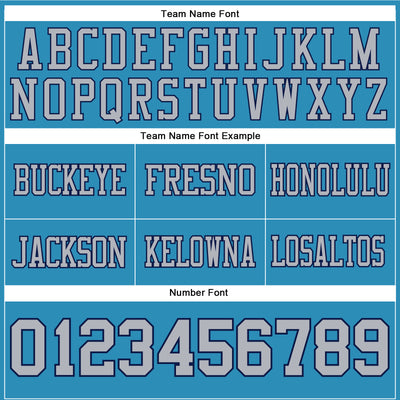 Custom Panther Blue Gray-Navy Authentic Football Jersey