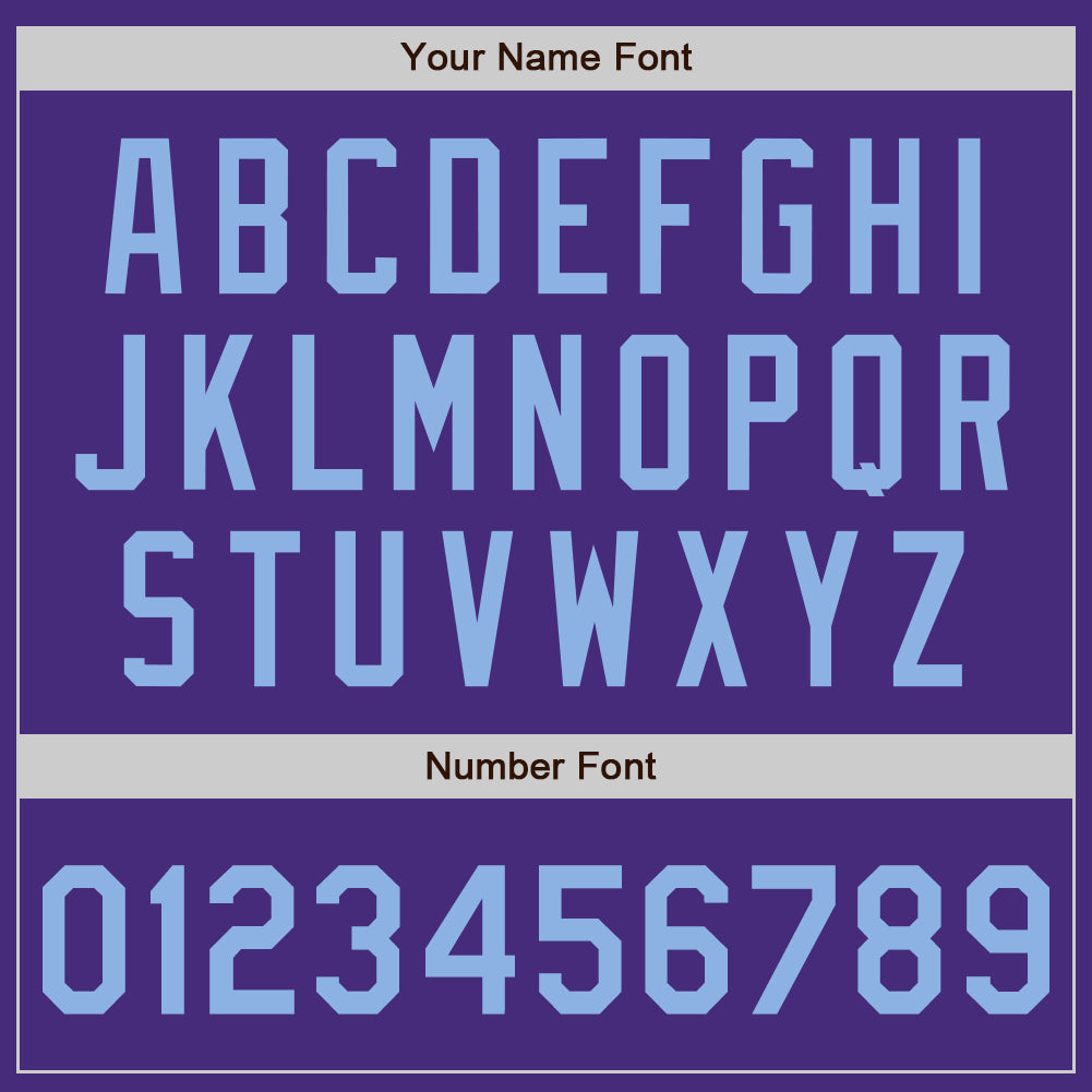 Custom Purple Light Blue Authentic Baseball Jersey