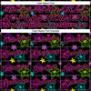 Custom Graffiti Pattern Black-Pink 3D Creative Colorful Stars Performance T-Shirt