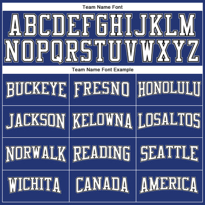 Custom Royal White Black-Gray Long Sleeve Performance T-Shirt