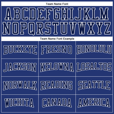 Custom Royal Gray Navy-White Long Sleeve Performance T-Shirt