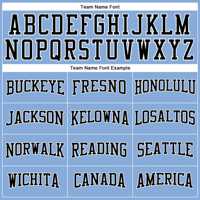 Custom Light Blue Black-White Long Sleeve Performance T-Shirt