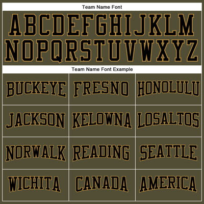 Custom Olive Black-Old Gold Long Sleeve Performance Salute To Service T-Shirt