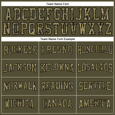 Custom Olive Camo-Black Long Sleeve Performance Salute To Service T-Shirt