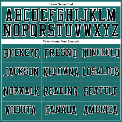 Custom Aqua Black-White Long Sleeve Performance T-Shirt