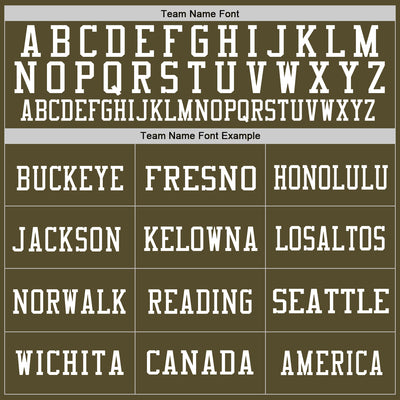 Custom Olive Vintage USA Flag-White Mesh Authentic Salute To Service Football Jersey