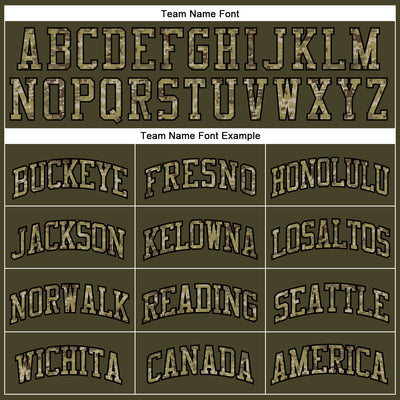 Custom Olive Camo-Black Authentic Throwback Salute To Service Basketball Jersey