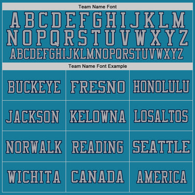 Custom Panther Blue Navy-Gray Mesh Authentic Football Jersey