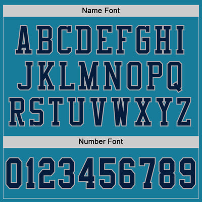 Custom Panther Blue Navy-Gray Mesh Authentic Football Jersey