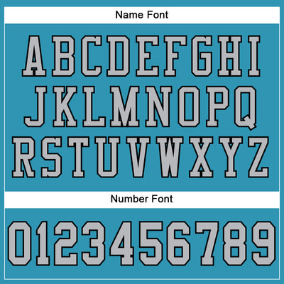 Custom Panther Blue Gray-Black Mesh Authentic Football Jersey