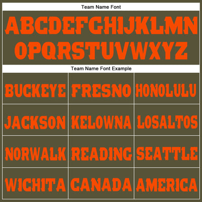 Custom Olive Orange Fleece Salute To Service Jogger Sweatpants